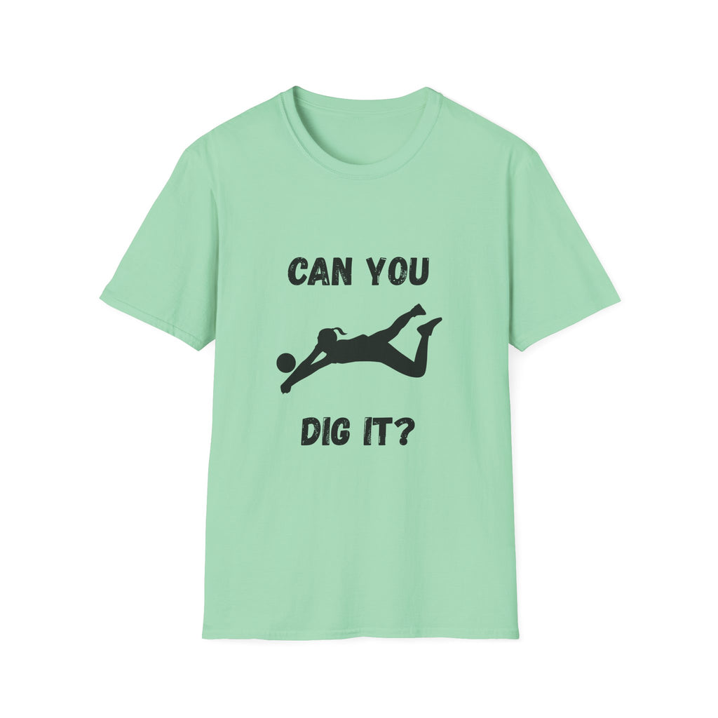 Can You Dig It?- Volleyball