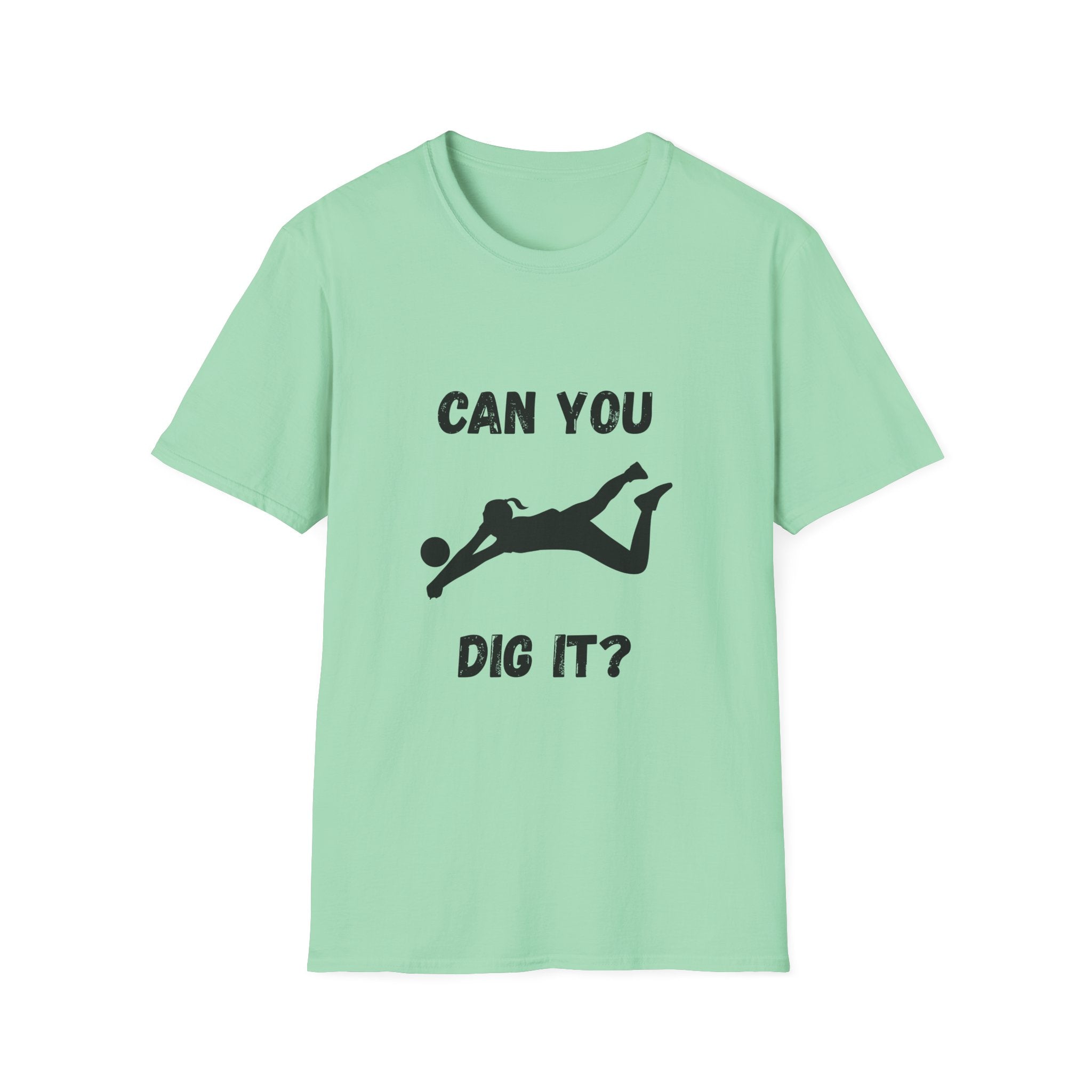 Can You Dig It?- Volleyball