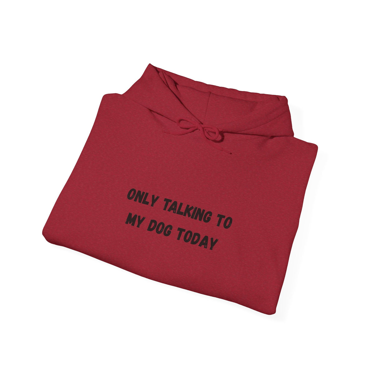 Only Talking to My Dog Today Hoodie