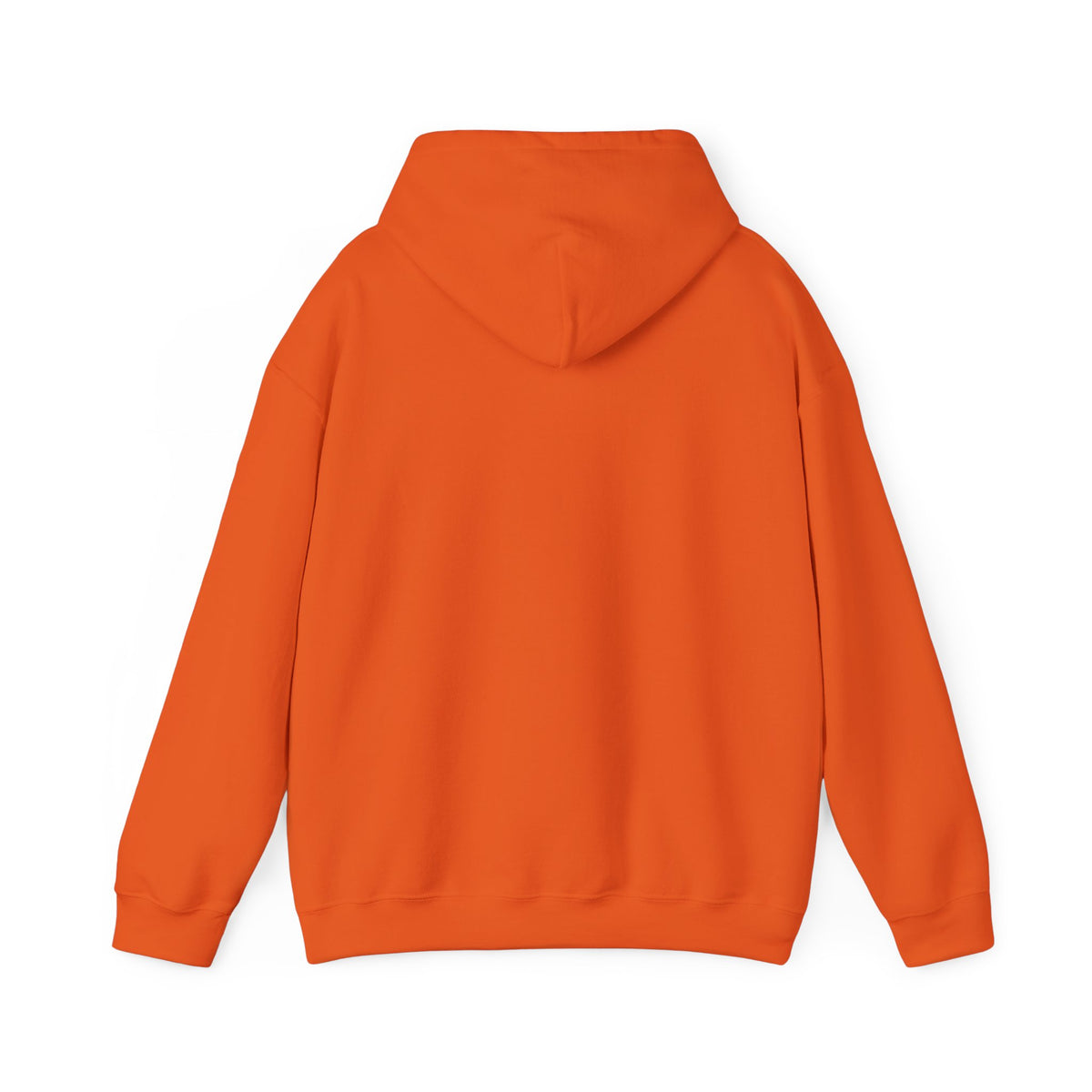 Only Talking to My Dog Today Hoodie