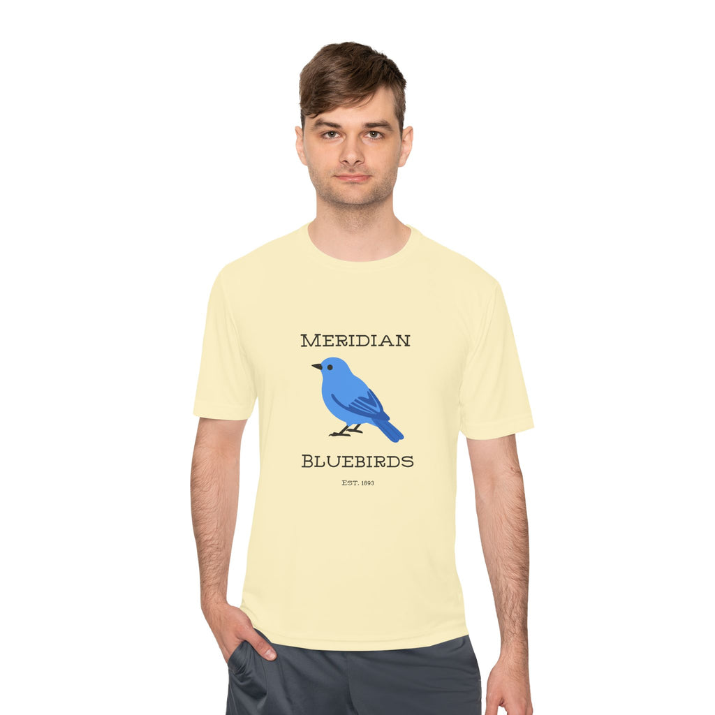 Meridian Bluebirds