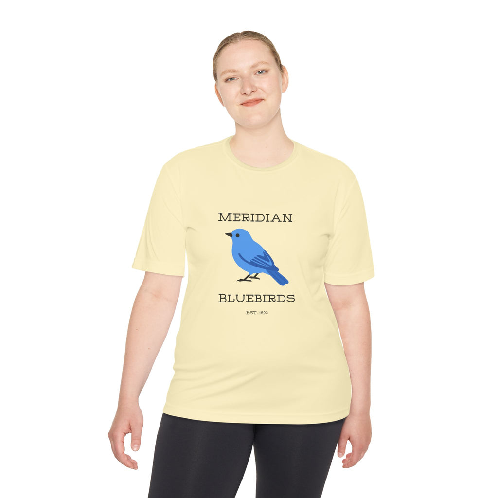 Meridian Bluebirds