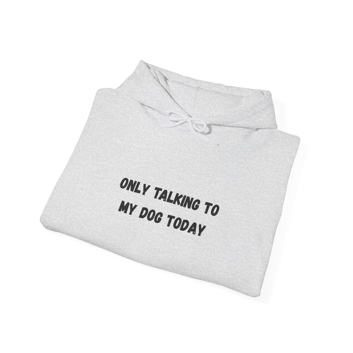 Only Talking to My Dog Today Hoodie