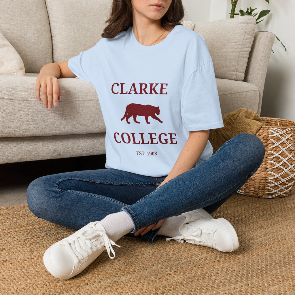 Clarke College Panthers- Newton, MS