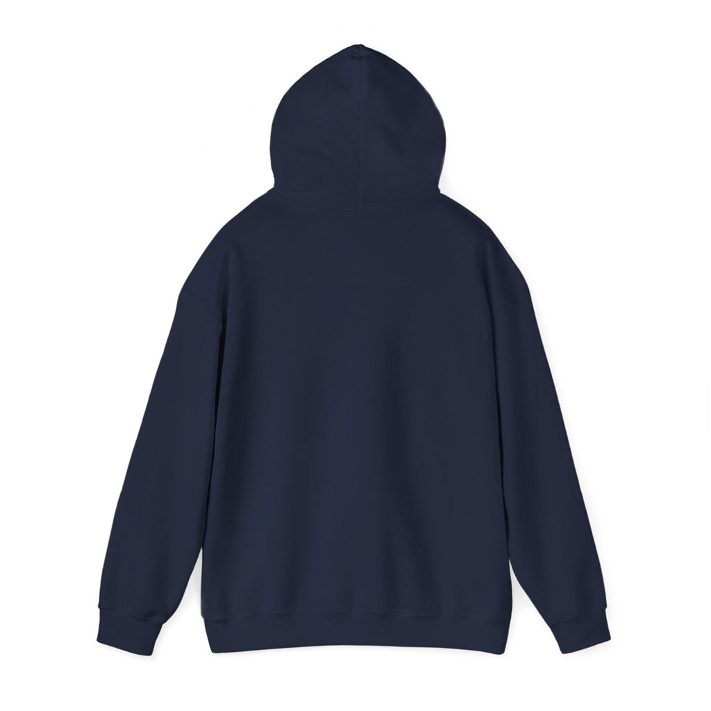 SRVO- The Valley's Trusted Unreliable News Source Hoodie