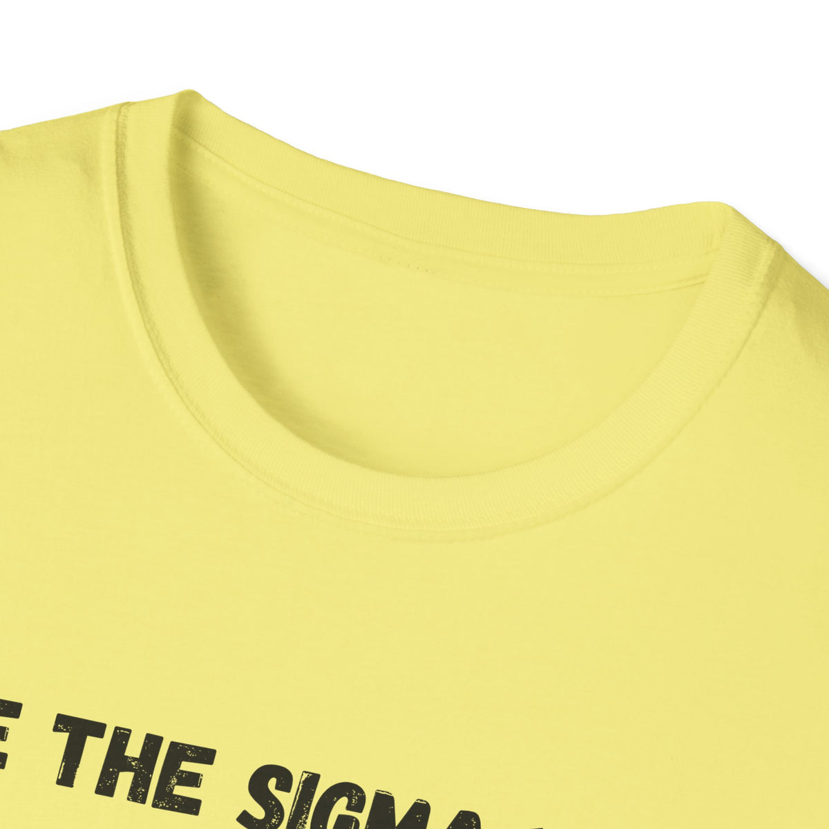 Be the Sigma You Wish to See in Ohio T-Shirt