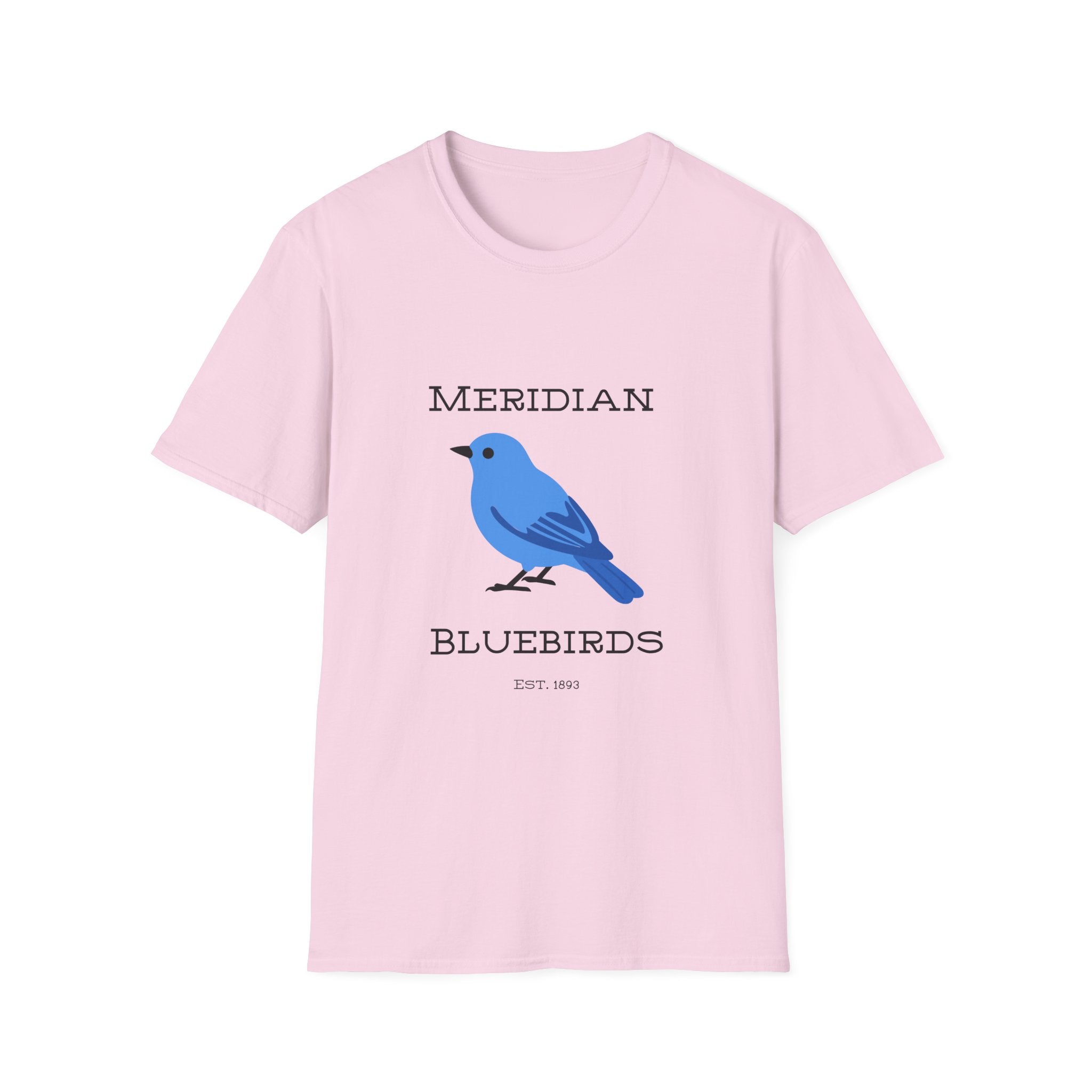 Meridian Bluebirds