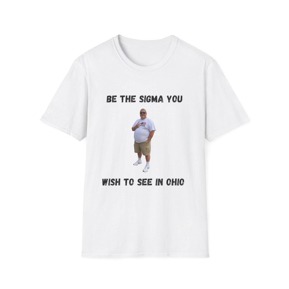 Be the Sigma You Wish to See in Ohio T-Shirt