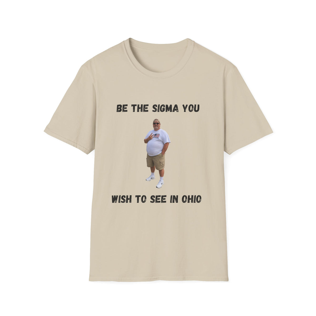 Be the Sigma You Wish to See in Ohio T-Shirt