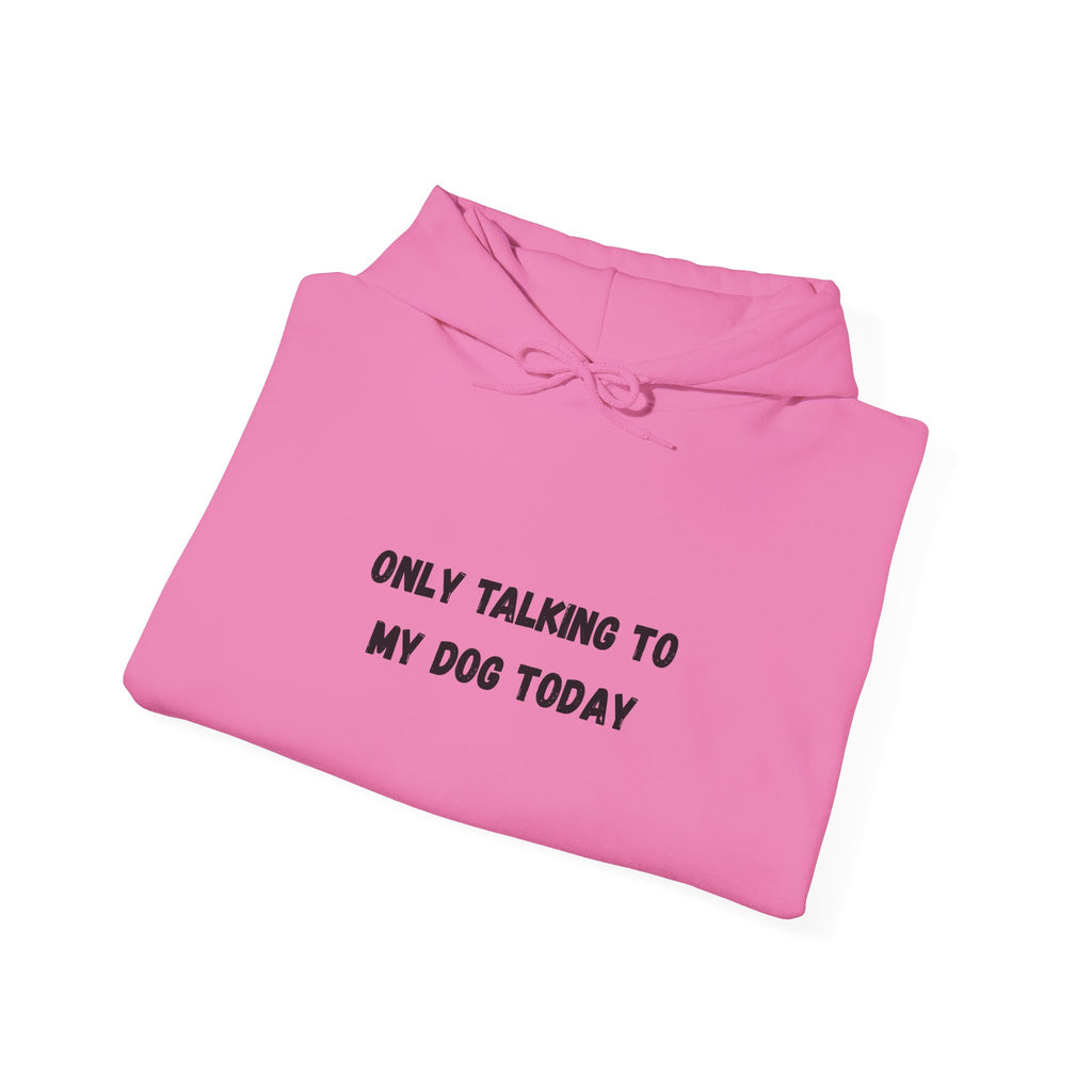 Only Talking to My Dog Today Hoodie