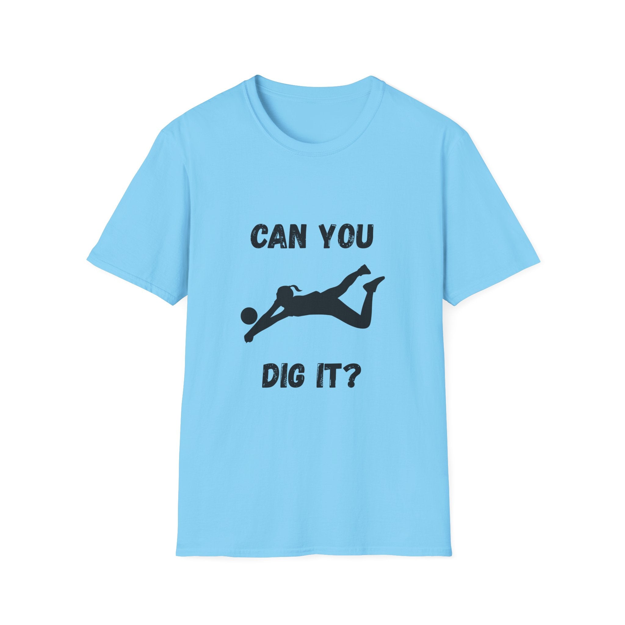 Can You Dig It?- Volleyball