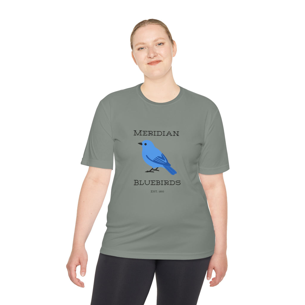 Meridian Bluebirds