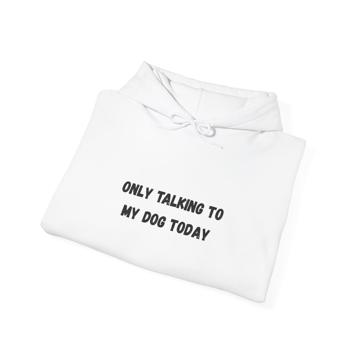 Only Talking to My Dog Today Hoodie