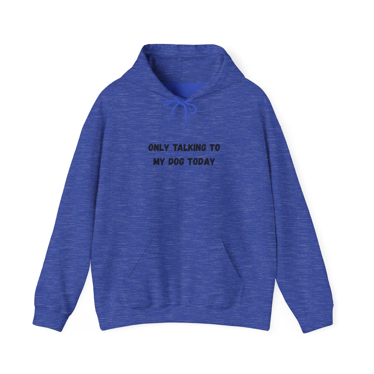 Only Talking to My Dog Today Hoodie