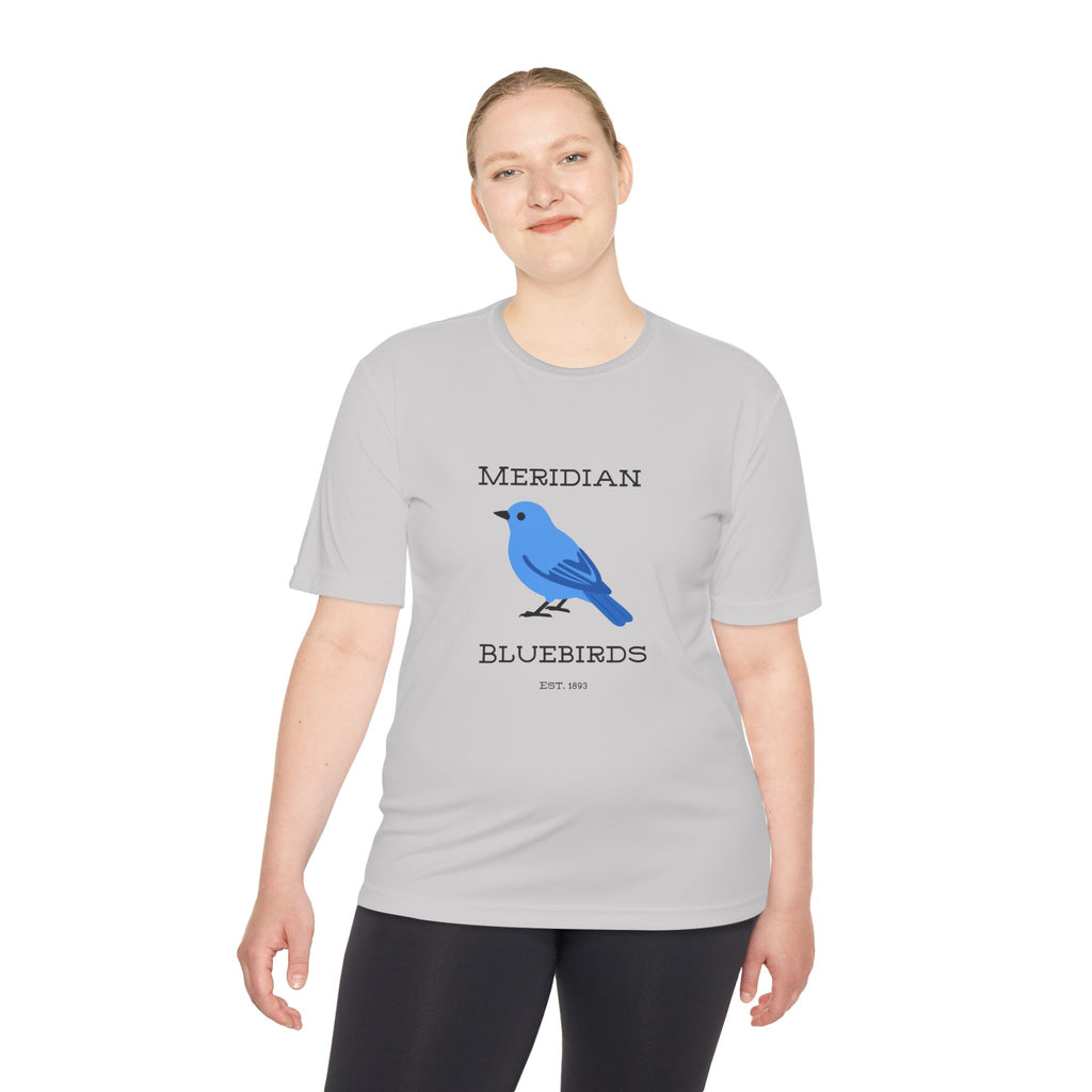 Meridian Bluebirds