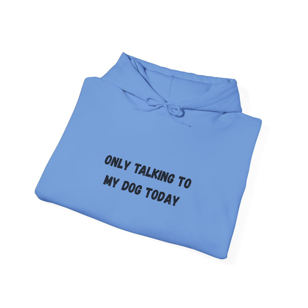 Only Talking to My Dog Today Hoodie
