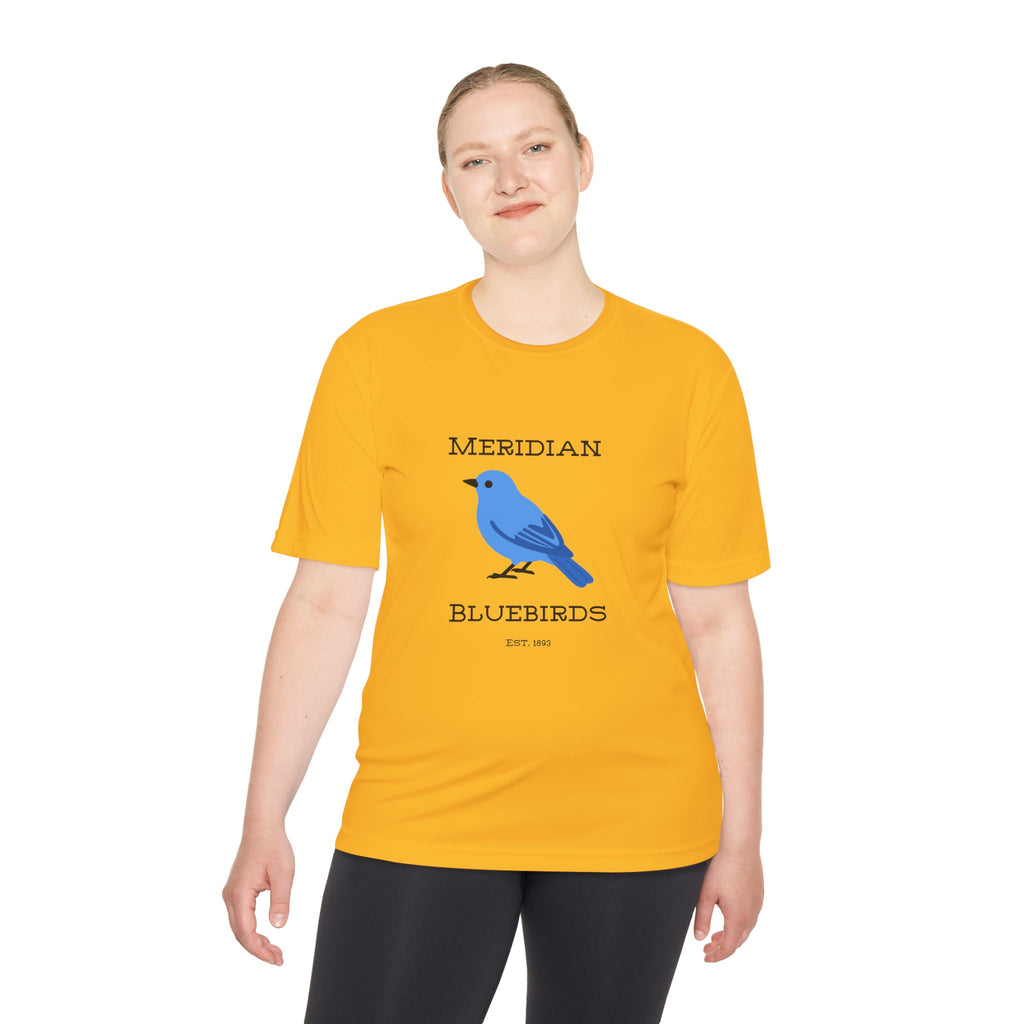 Meridian Bluebirds