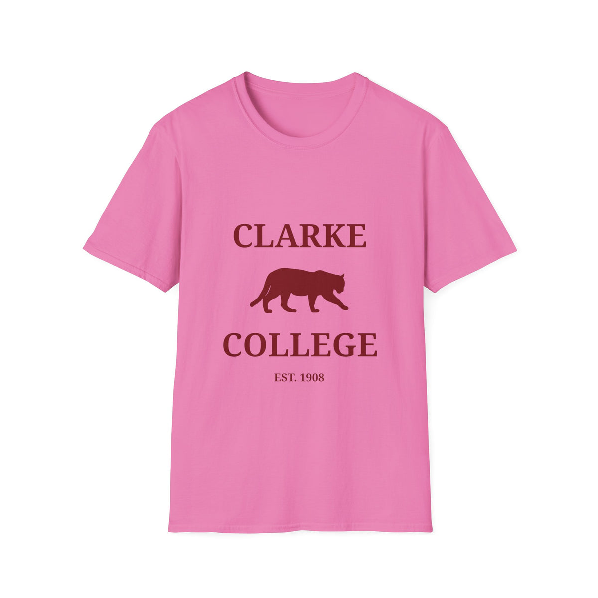 Clarke College Panthers- Newton, MS