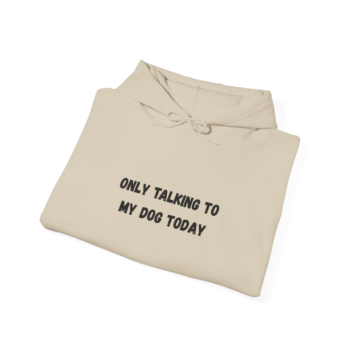 Only Talking to My Dog Today Hoodie