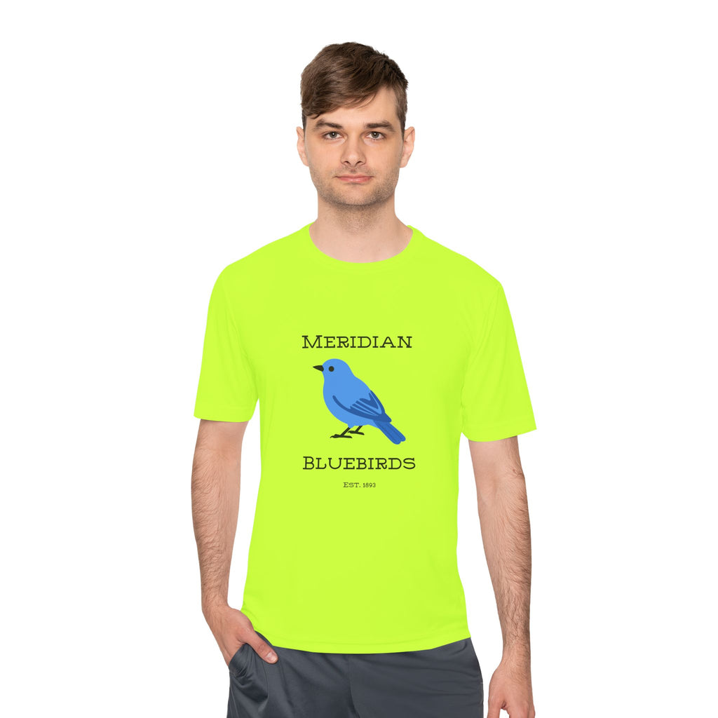 Meridian Bluebirds