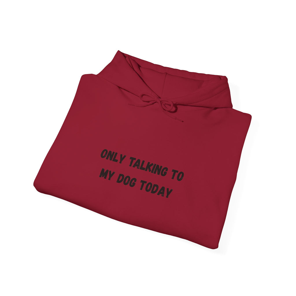 Only Talking to My Dog Today Hoodie