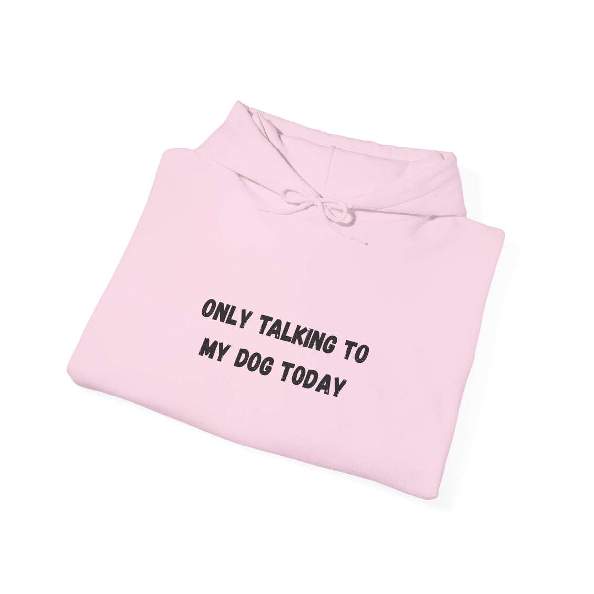 Only Talking to My Dog Today Hoodie