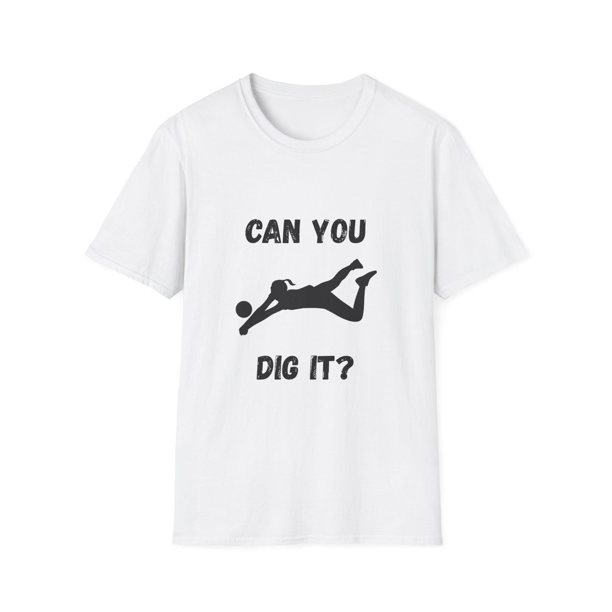 Can You Dig It?- Volleyball