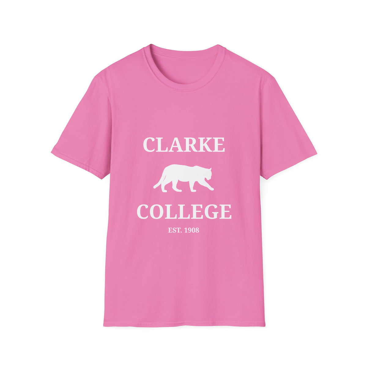 Clarke College Panthers- Newton, MS