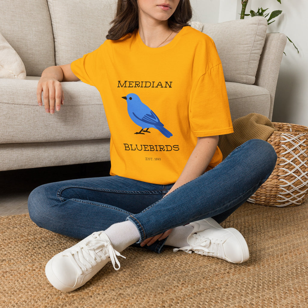 Meridian Bluebirds