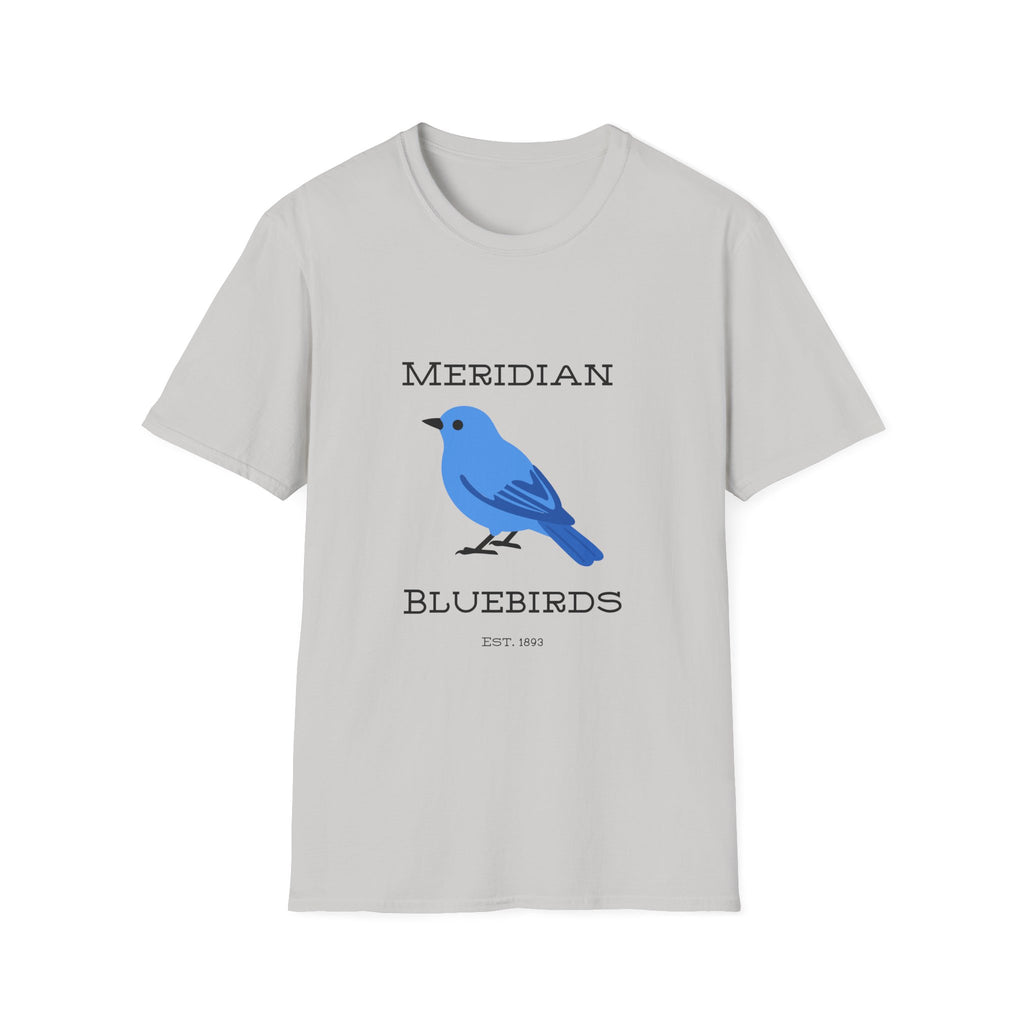 Meridian Bluebirds