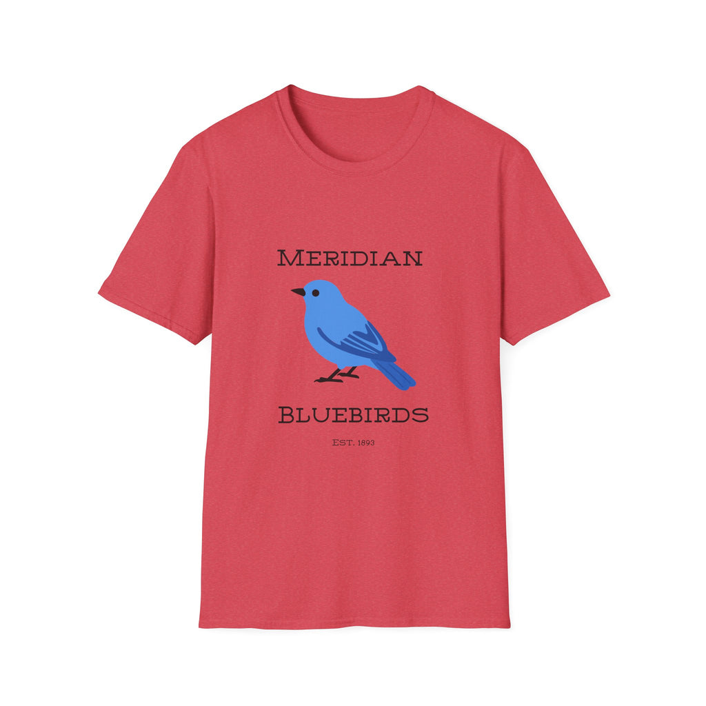 Meridian Bluebirds