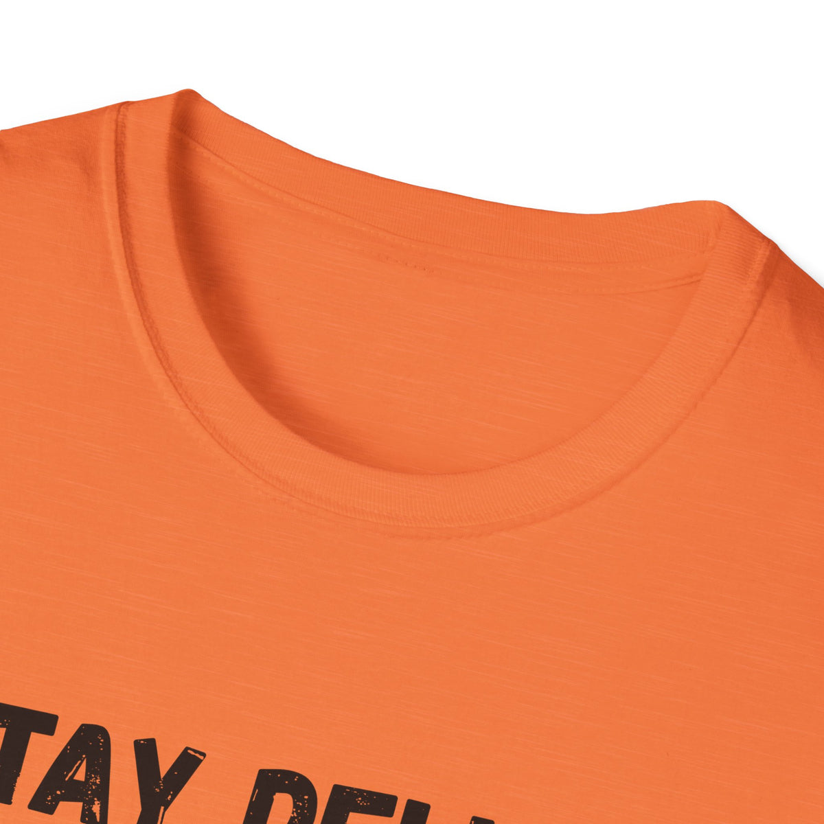 Stay Delulu My Friends T-Shirt
