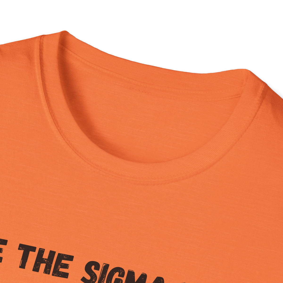 Be the Sigma You Wish to See in Ohio T-Shirt