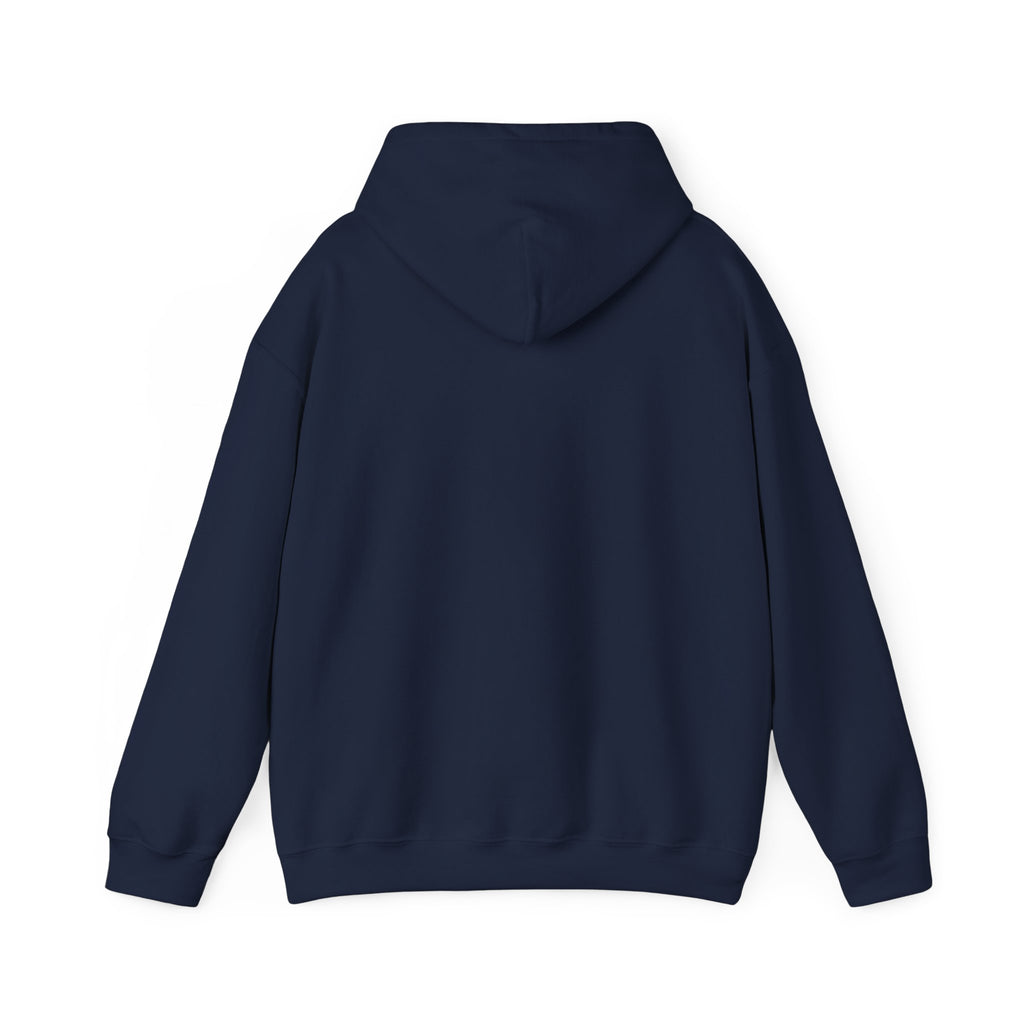 SRVO- The Valley's Trusted Unreliable News Source Hoodie