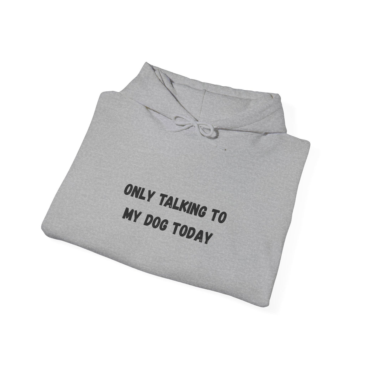 Only Talking to My Dog Today Hoodie