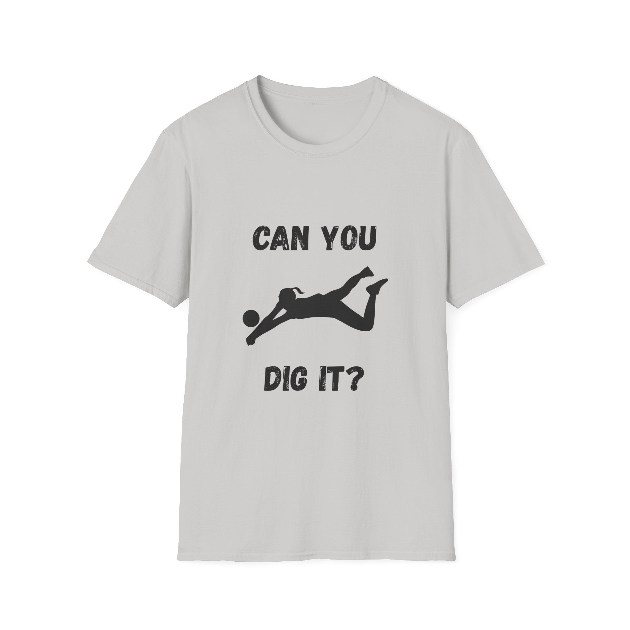 Can You Dig It?- Volleyball