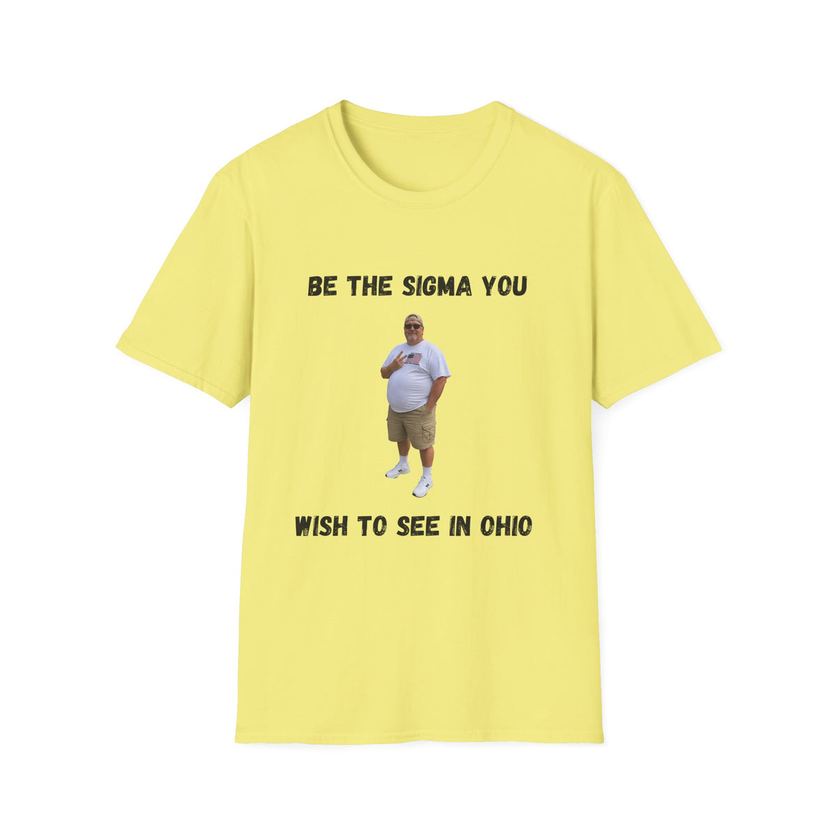 Be the Sigma You Wish to See in Ohio T-Shirt