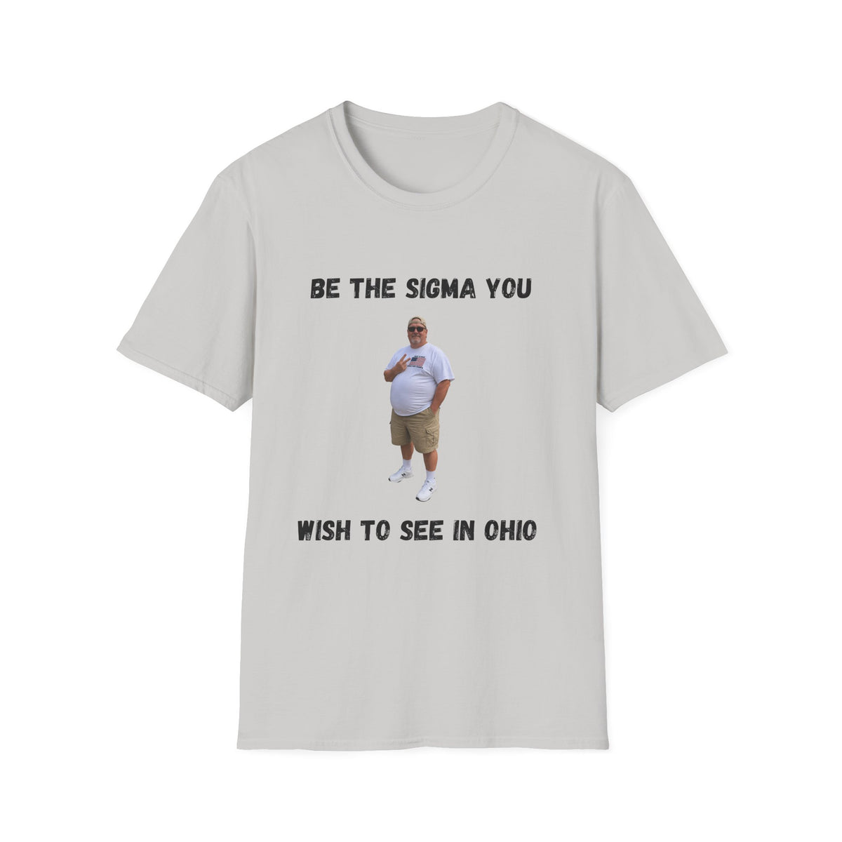 Be the Sigma You Wish to See in Ohio T-Shirt