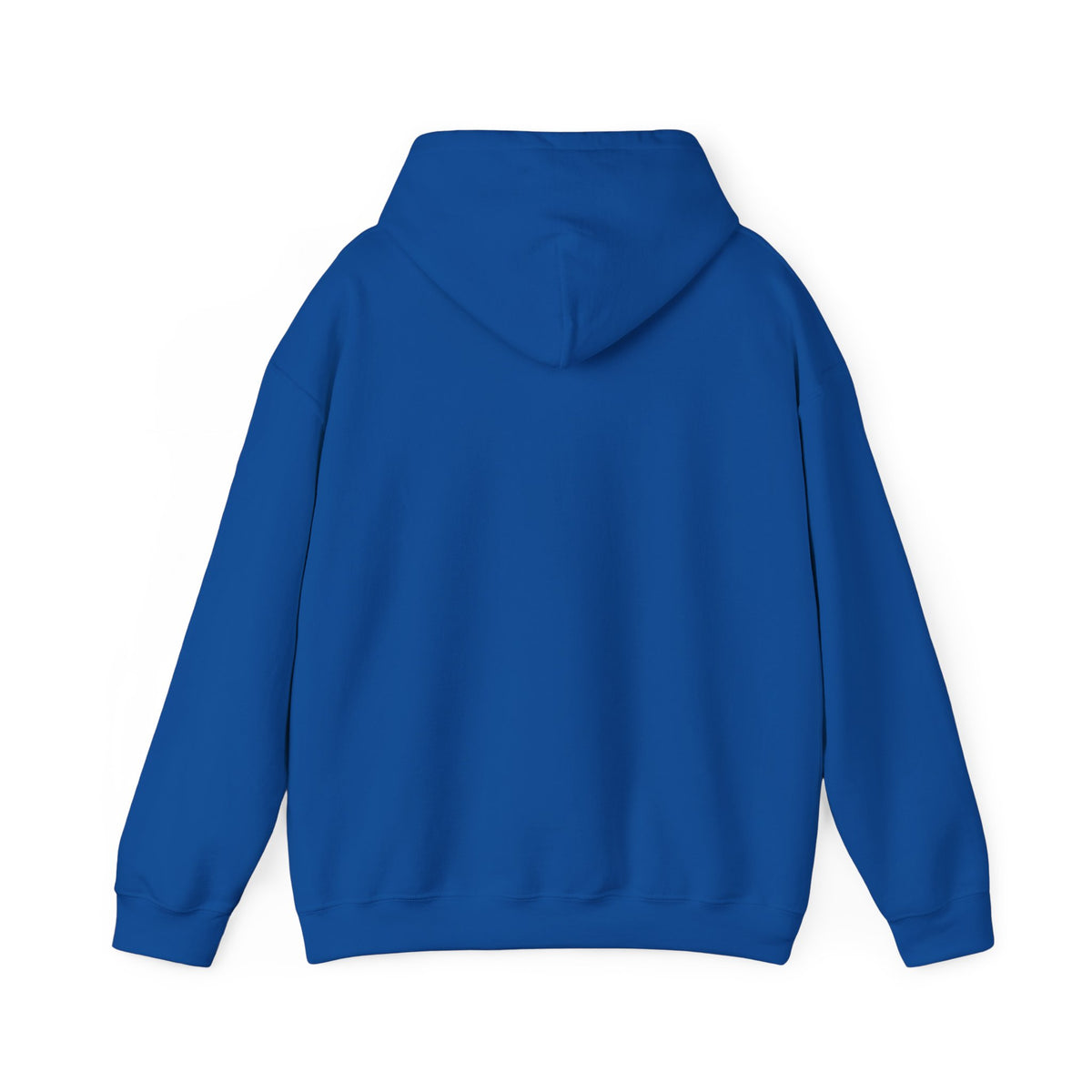 SRVO- The Valley's Trusted Unreliable News Source Hoodie