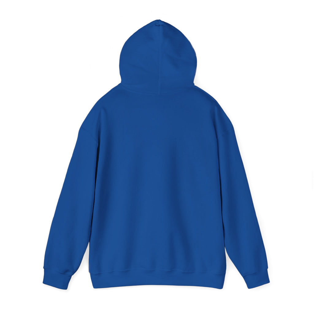 SRVO- The Valley's Trusted Unreliable News Source Hoodie