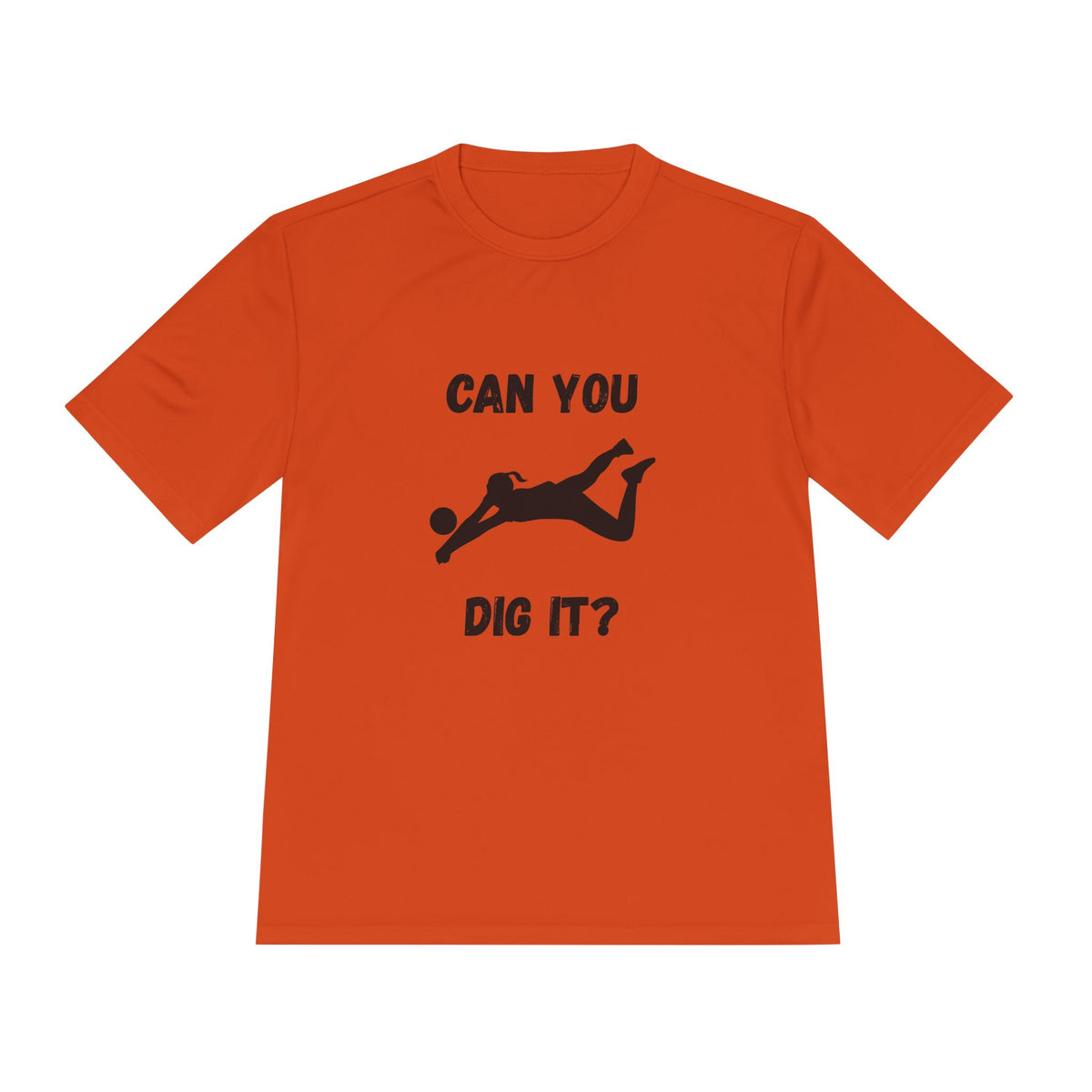 Can You Dig It?- Volleyball