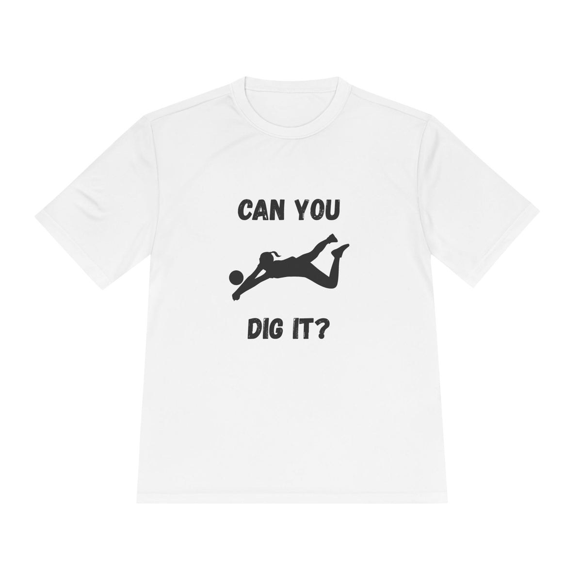 Can You Dig It?- Volleyball