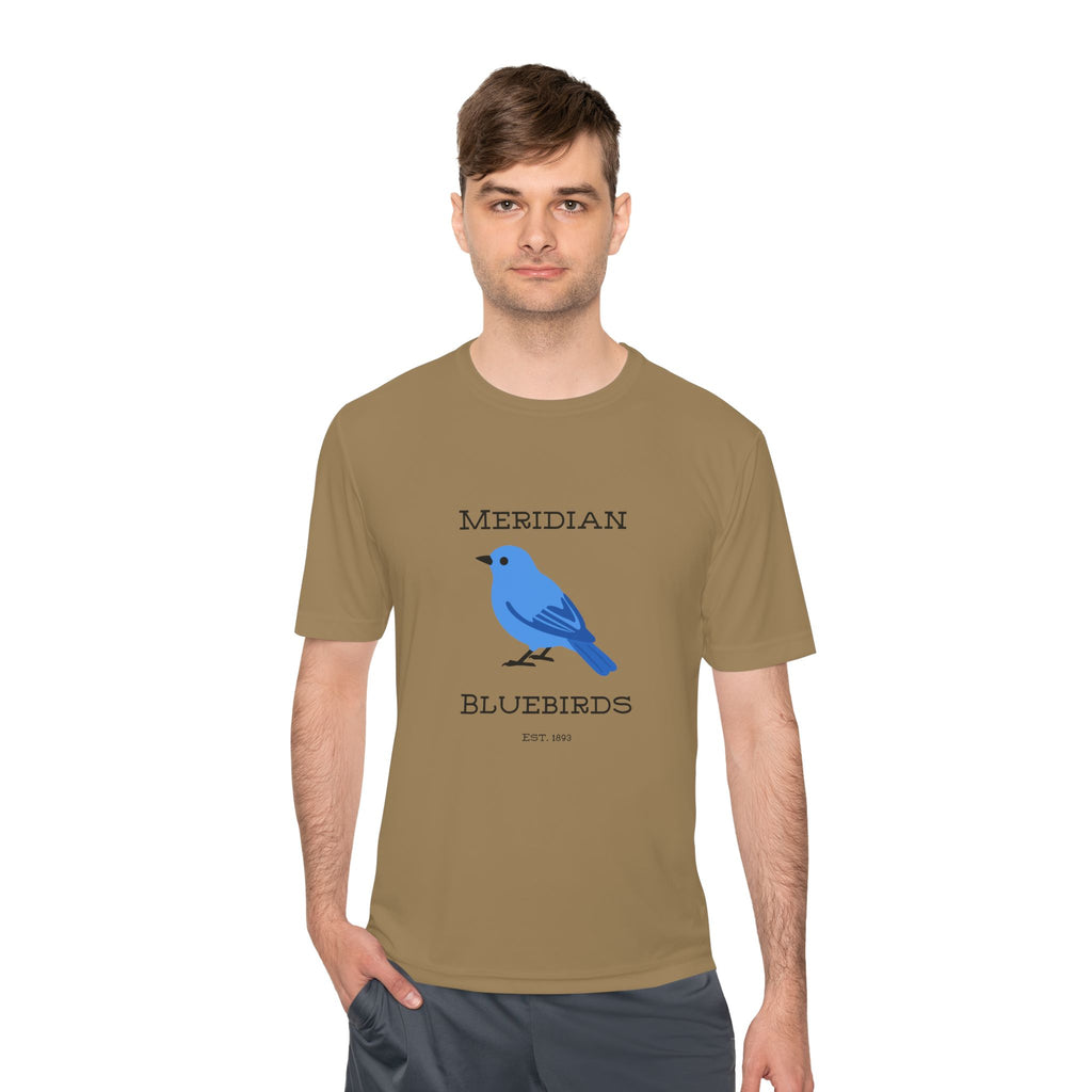 Meridian Bluebirds