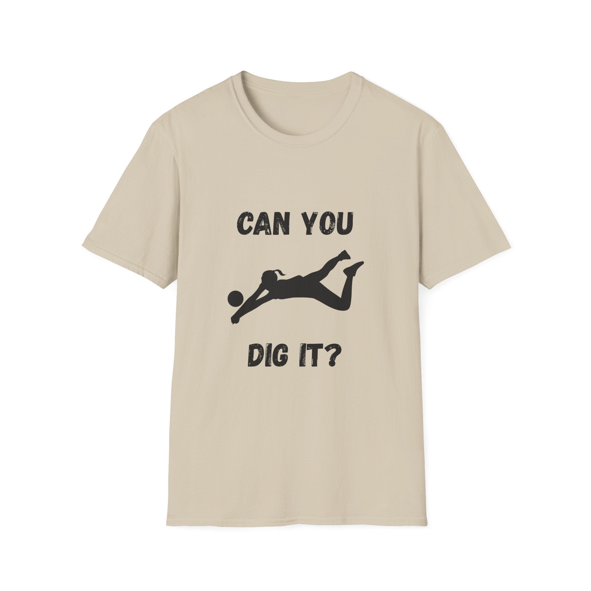 Can You Dig It?- Volleyball