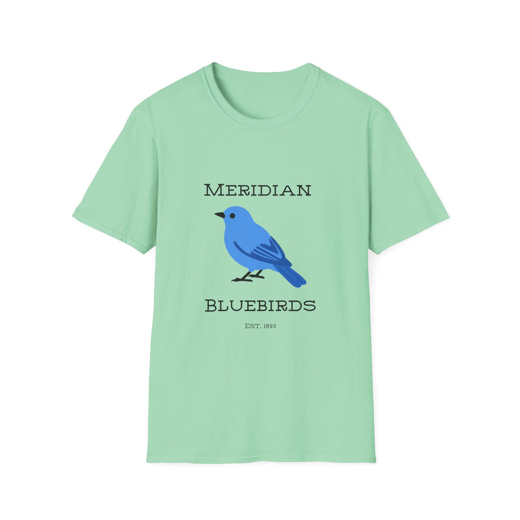 Meridian Bluebirds