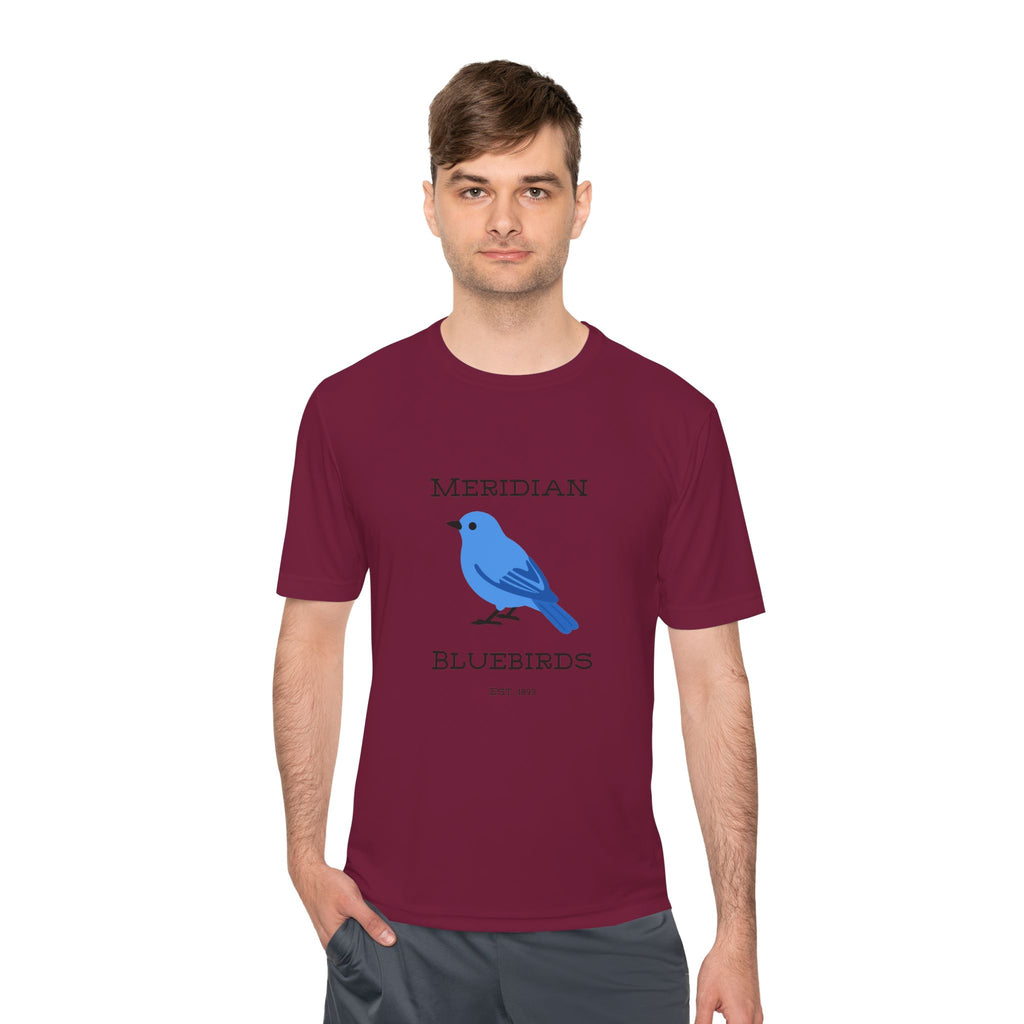 Meridian Bluebirds